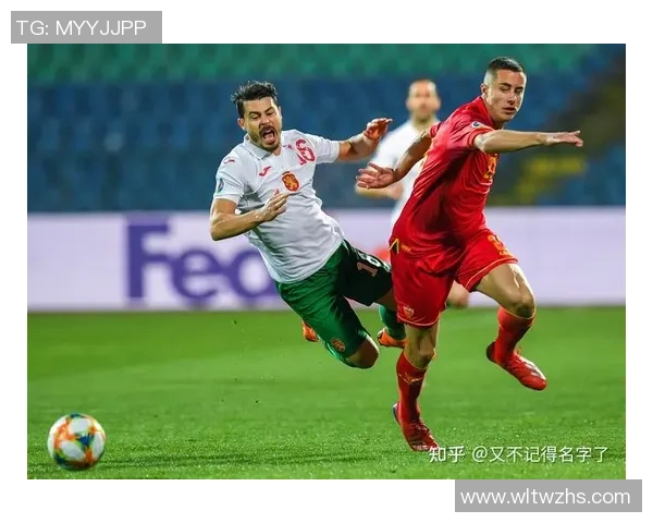 黑山与保加利亚欧洲杯对决精彩回顾与赛前分析